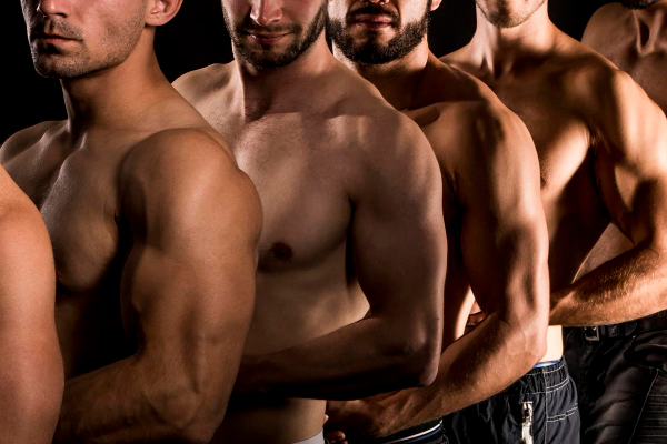 pride3-993ea256 Home - Wild